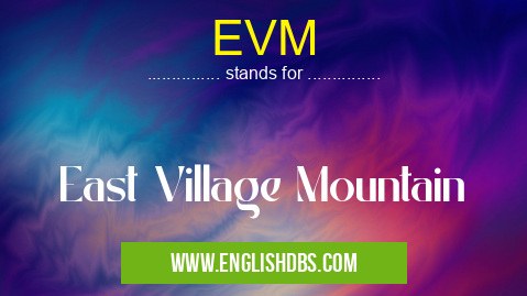 EVM