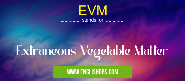 EVM