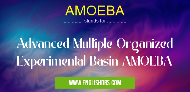 AMOEBA means Advanced Multiple Organized Experimental Basin AMOEBA AMOEBA