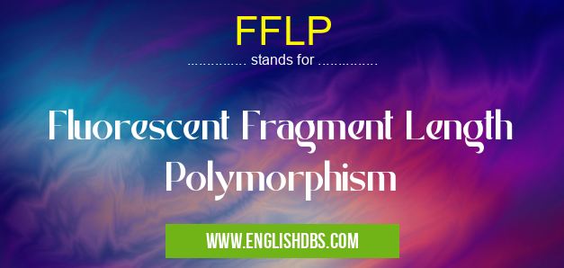 FFLP means Fluorescent Fragment Length Polymorphism FFLP