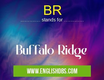 BR means Buffalo Ridge BR