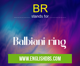 BR means Balbiani ring BR