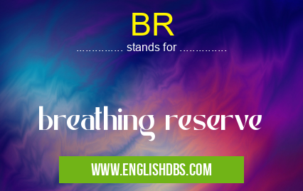 BR means breathing reserve BR
