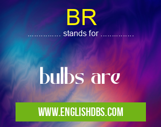 BR means bulbs are BR