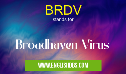 BRDV means Broadhaven Virus BRDV