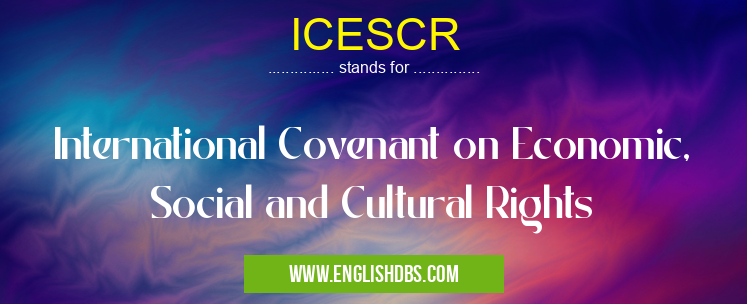 ICESCR means International Covenant on Economic, Social and Cultural Rights ICESCR