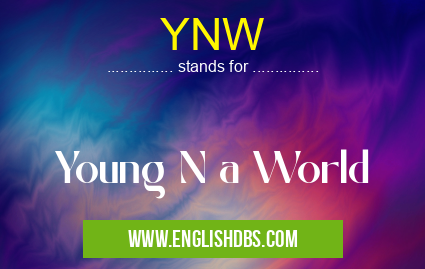 YNW means Young N a World YNW