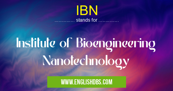IBN means Institute of Bioengineering Nanotechnology IBN