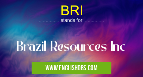 BRI means Brazil Resources Inc BRI