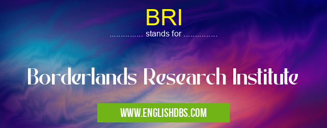 BRI means Borderlands Research Institute BRI
