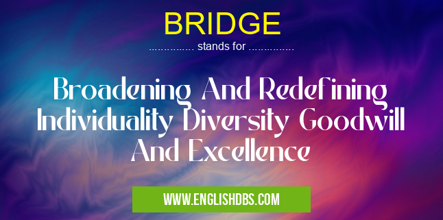 BRIDGE means Broadening And Redefining Individuality Diversity Goodwill And Excellence BRIDGE