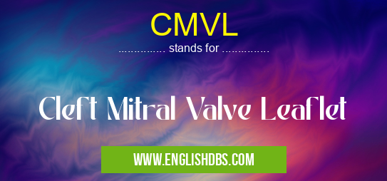 CMVL means Cleft Mitral Valve Leaflet CMVL