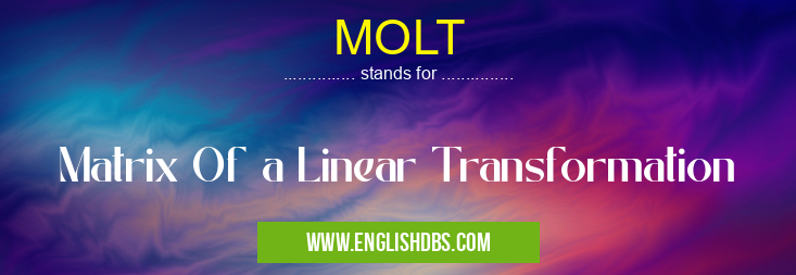 MOLT means Matrix Of a Linear Transformation MOLT