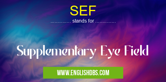 SEF means Supplementary Eye Field SEF