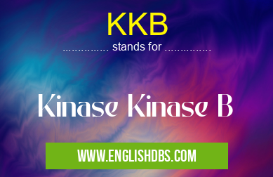 KKB means Kinase Kinase B KKB