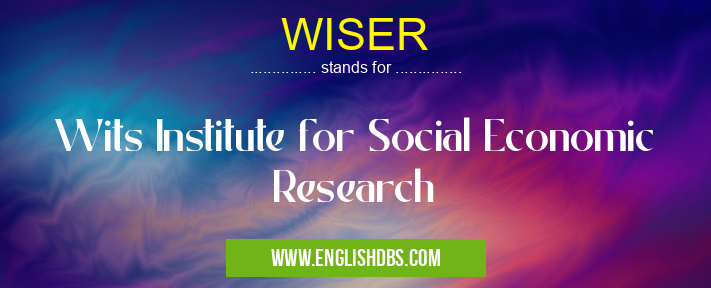 WISER means Wits Institute for Social Economic Research WISER