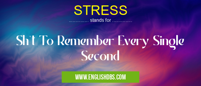 STRESS means Sh*t To Remember Every Single Second STRESS