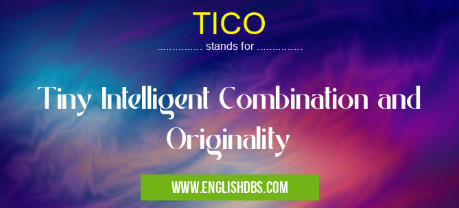 TICO means Tiny Intelligent Combination and Originality TICO