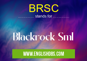 BRSC means Blackrock Sml BRSC