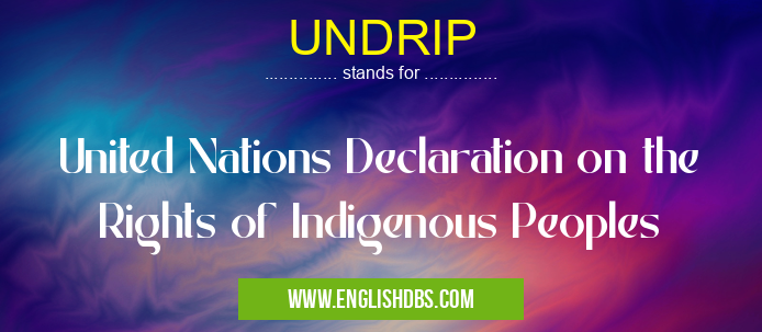 UNDRIP means United Nations Declaration on the Rights of Indigenous Peoples UNDRIP