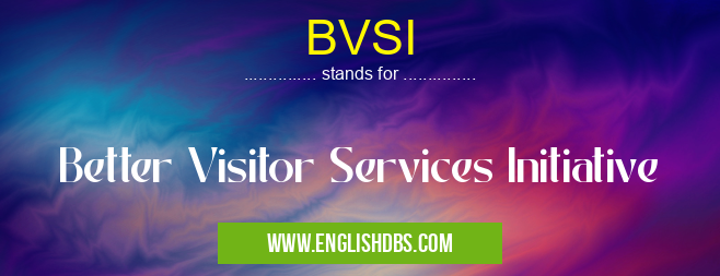 BVSI means Better Visitor Services Initiative BVSI