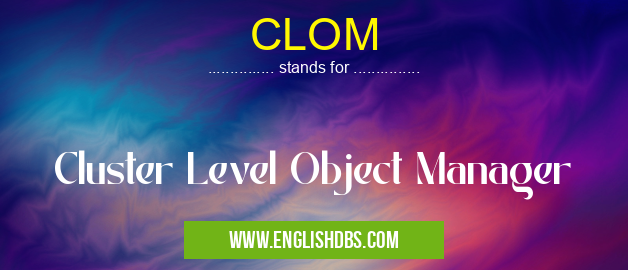 CLOM means Cluster Level Object Manager CLOM