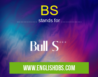 BS means Bull S*** BS