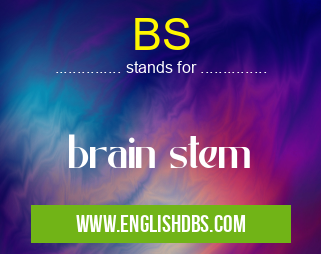 BS means brain stem BS