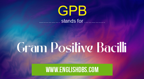GPB means Gram Positive Bacilli GPB
