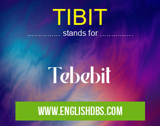 TIBIT means Tebebit TIBIT