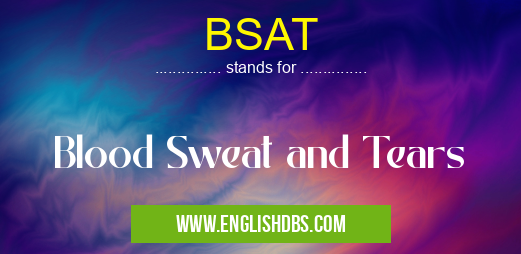 BSAT means Blood Sweat and Tears BSAT