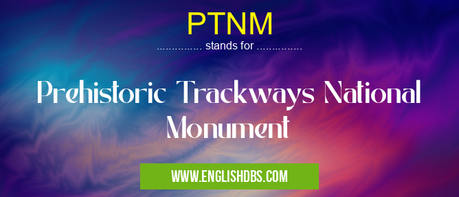 PTNM means Prehistoric Trackways National Monument PTNM