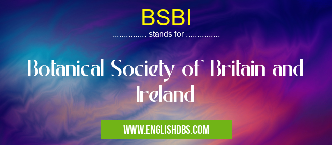 BSBI