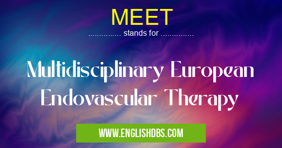 MEET means Multidisciplinary European Endovascular Therapy MEET