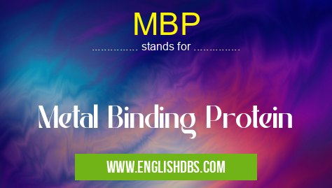 MBP means Metal Binding Protein MBP
