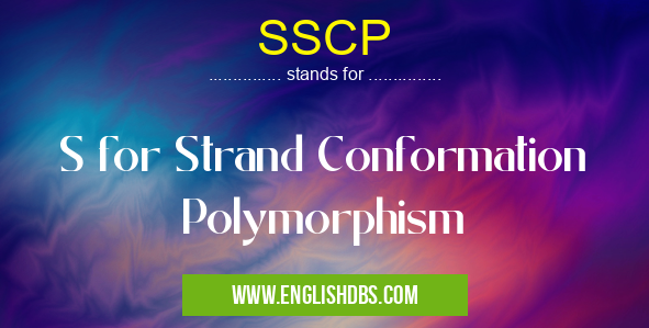 SSCP means S for Strand Conformation Polymorphism SSCP