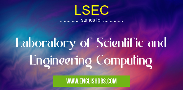 LSEC means Laboratory of Scientific and Engineering Computing LSEC