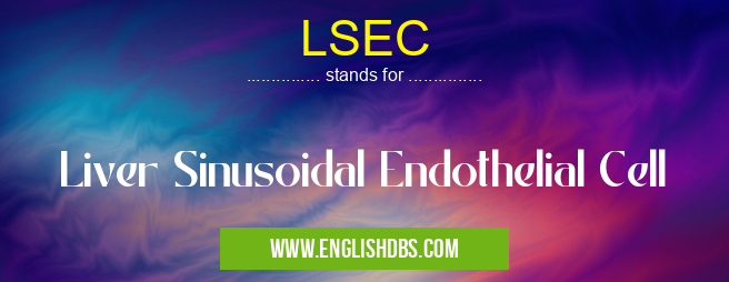 LSEC means Liver Sinusoidal Endothelial Cell LSEC