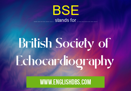 BSE means British Society of Echocardiography BSE