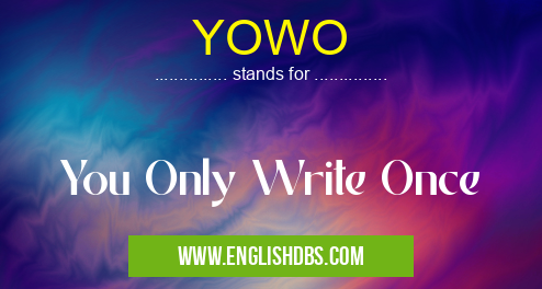YOWO means You Only Write Once YOWO