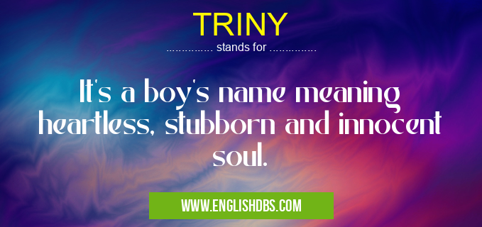 TRINY means It's a boy's name meaning heartless, stubborn and innocent soul. TRINY