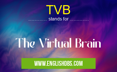 TVB means The Virtual Brain TVB