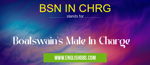 BSN IN CHRG means Boatswain's Mate In Charge BSN IN CHRG