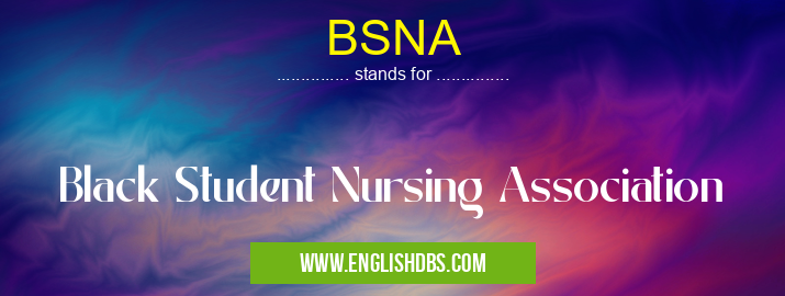 BSNA