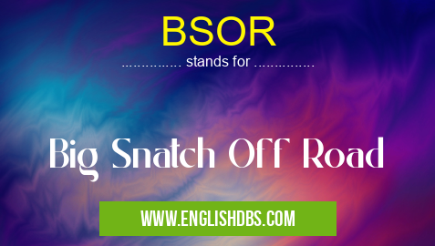 BSOR