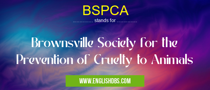 BSPCA means Brownsville Society for the Prevention of Cruelty to Animals BSPCA