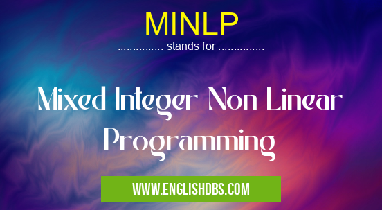 MINLP means Mixed Integer Non Linear Programming MINLP