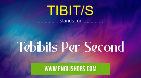 TIBIT/S means Tebibits Per Second TIBIT/S