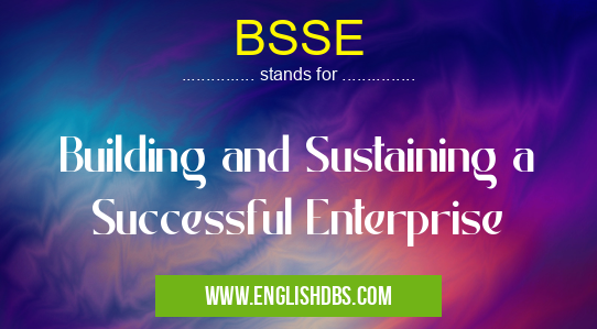 BSSE means Building and Sustaining a Successful Enterprise BSSE