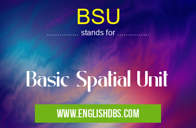 BSU